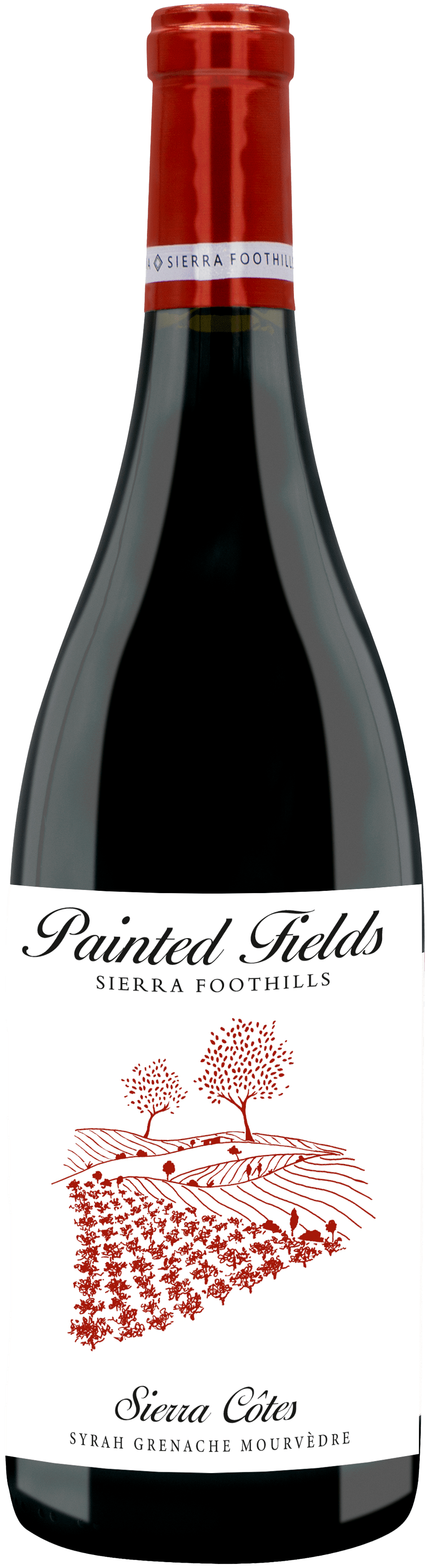 Painted Fields Wines | 2022 Curse of Knowledge Cabernet